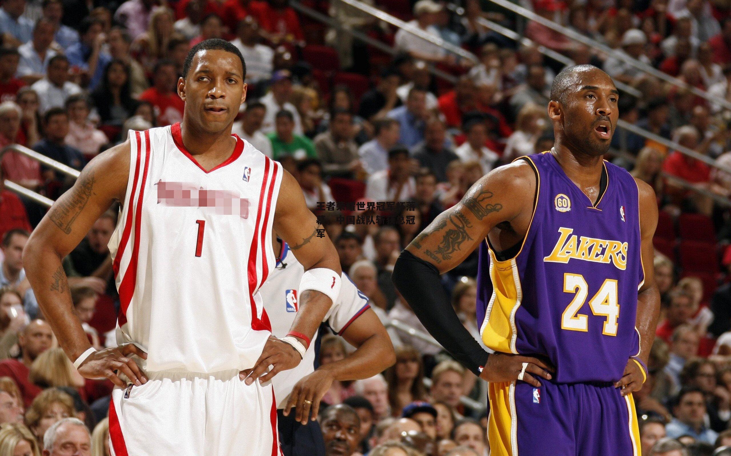 王者荣耀世界冠军杯落幕，中国战队斩获总冠军