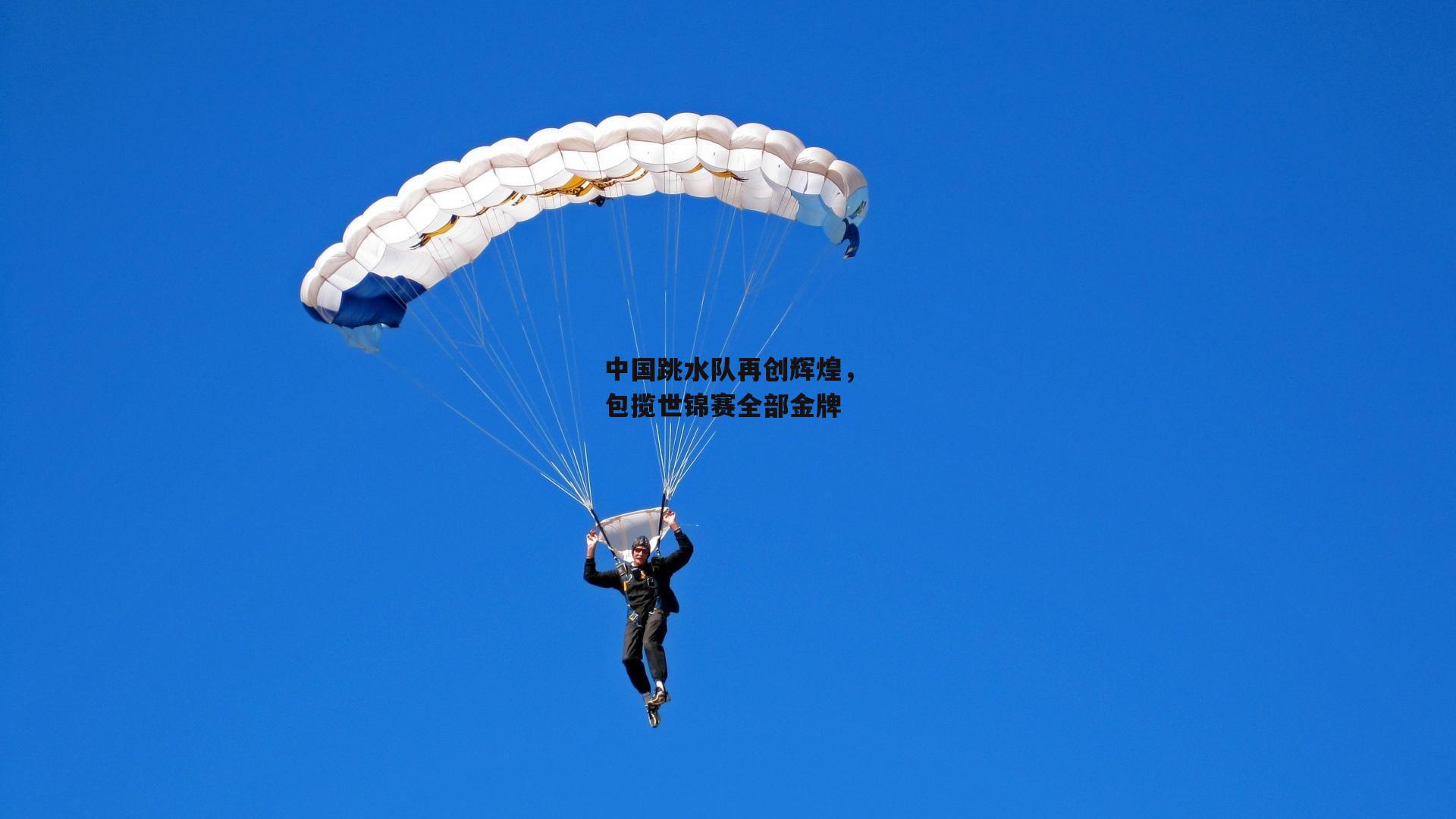 中国跳水队再创辉煌,包揽世锦赛全部金牌